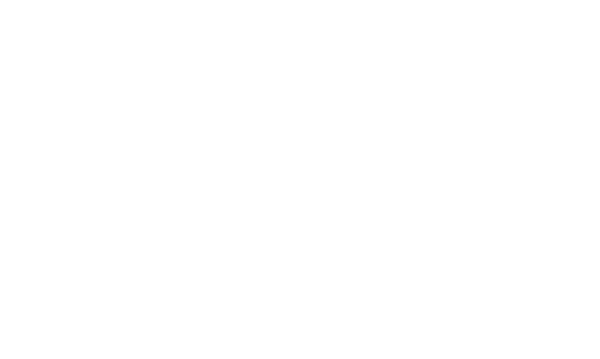 TheVInc